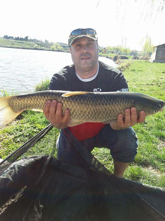 27 -28 Martie Hermes Peris 2017 - 1763687515063203794009675356461318470508536o.jpg